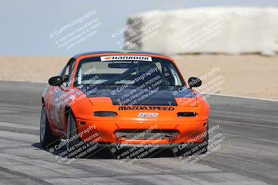 media/Oct-11-2025-Lucky Dog Racing (Sat) [[f5b53147c4]]/2-First Stint/2-Turns 9 and 10/